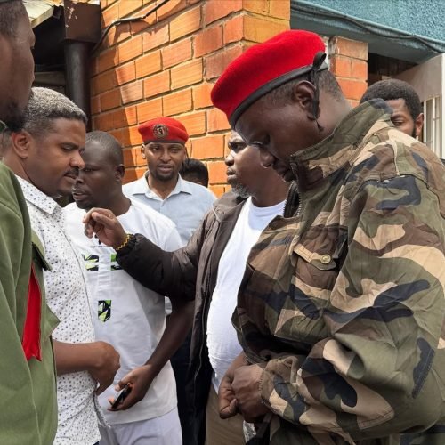 576080967_17941886286093216_3663802875333479453_n